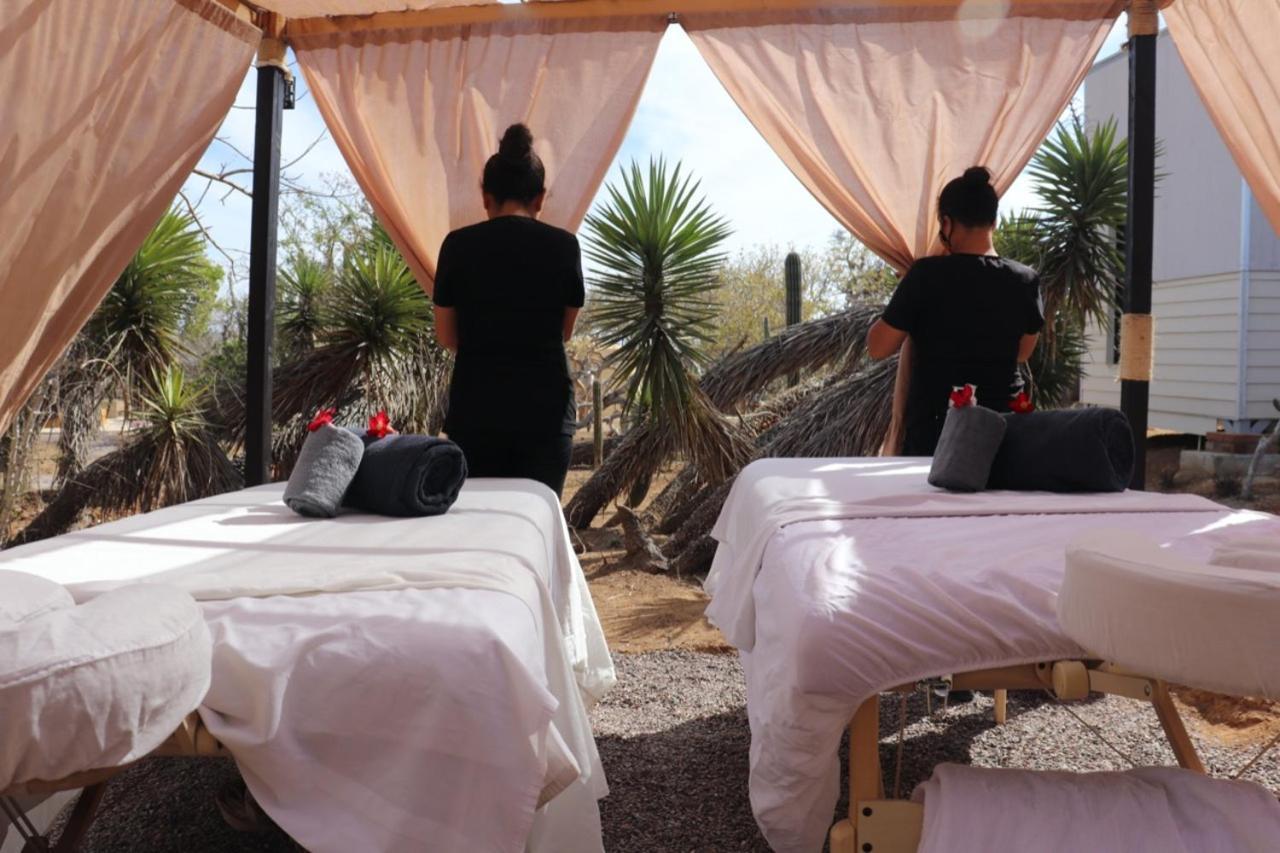 الشقق الفندقية El Cardonalفي  Experience المظهر الخارجي الصورة
